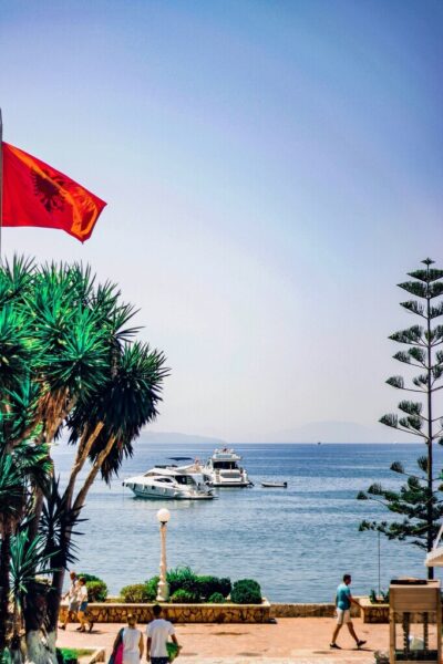 Darzëzë e Re, Albania